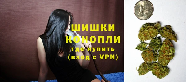 стаф Белокуриха