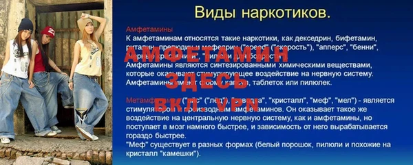 стаф Белокуриха