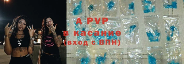 стаф Белокуриха