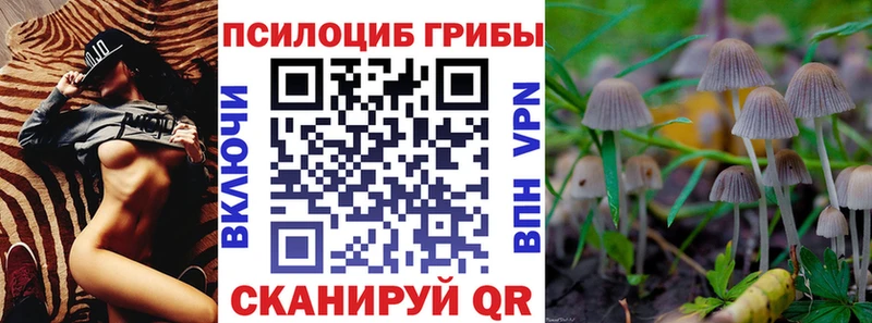 Псилоцибиновые грибы Psilocybe  Окуловка 